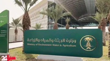 الشركات الزراعية.. البيئة تفتح باب الانضمام لعضوية لجنة منتجي البذور بدورتها الثامنة